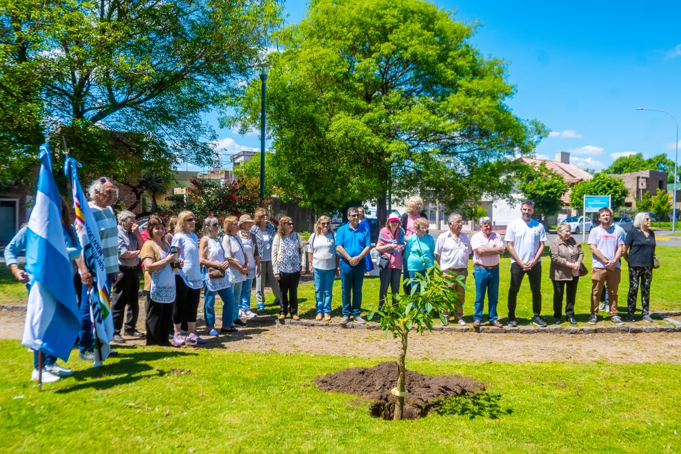 Imagen de la noticia