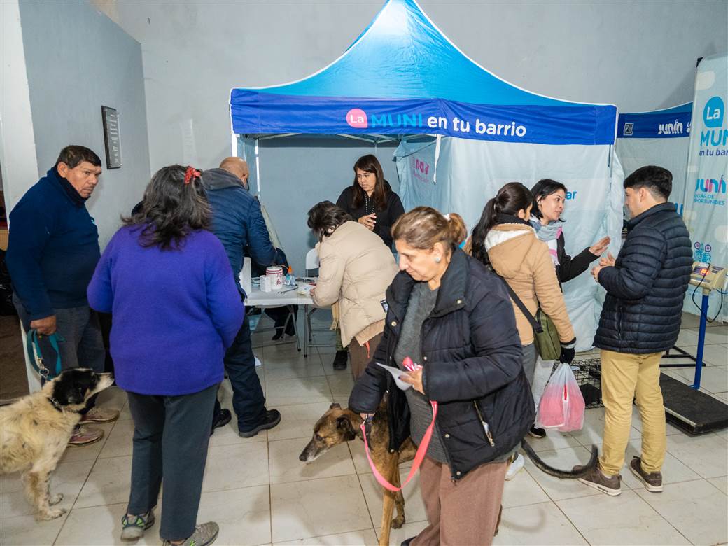 Imagen de la noticia