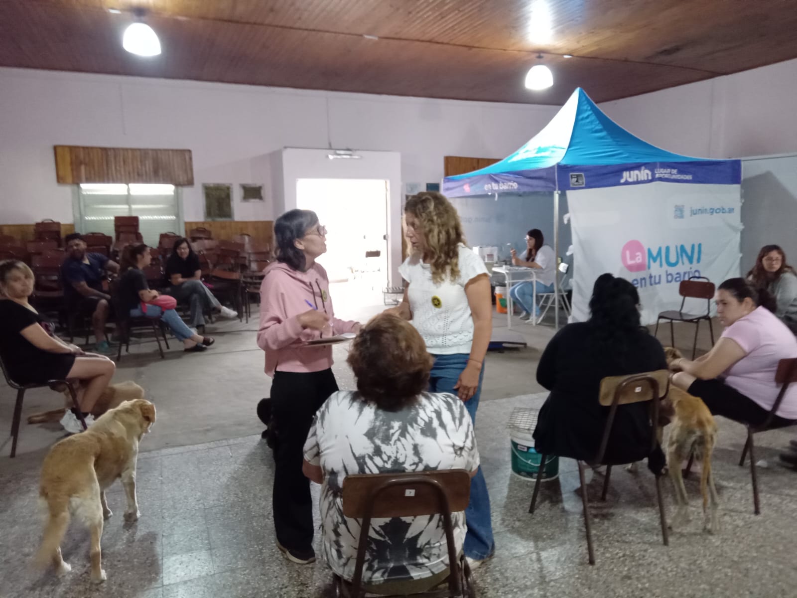 Imagen de la noticia