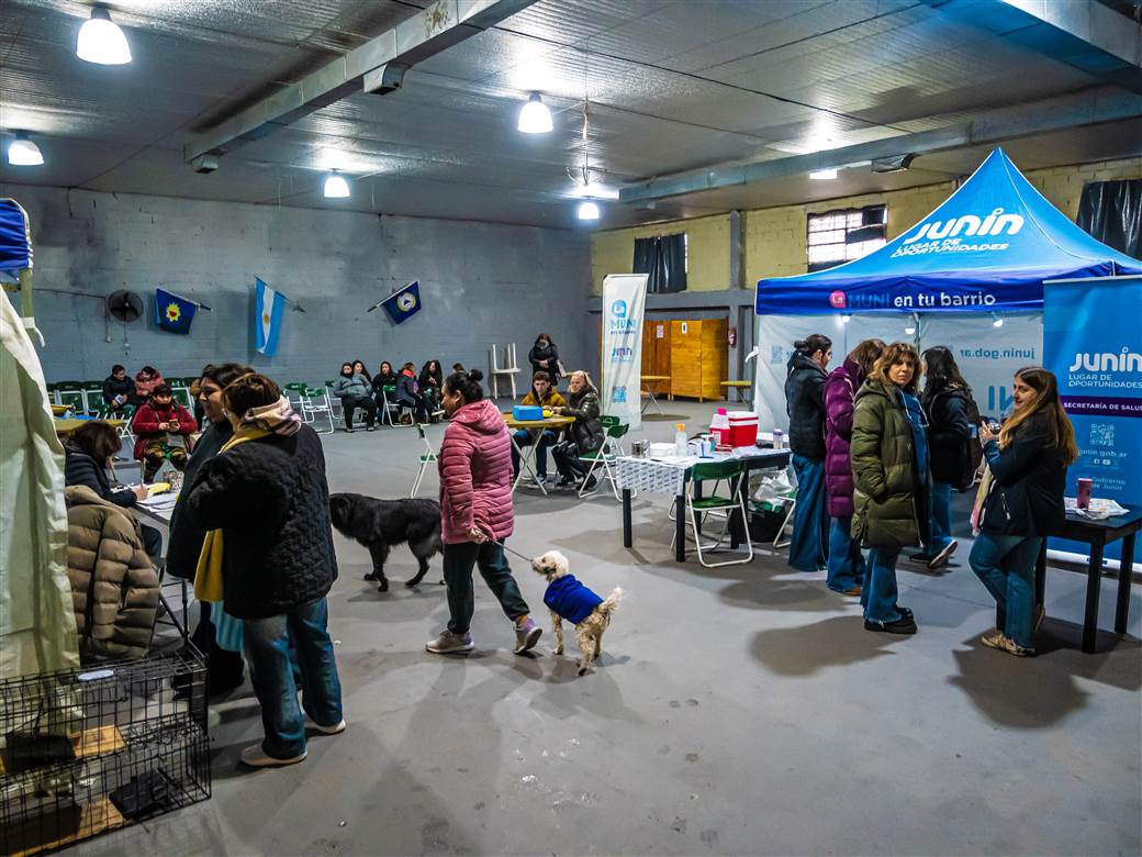 Imagen de la noticia