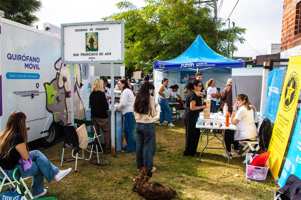 Imagen de la noticia