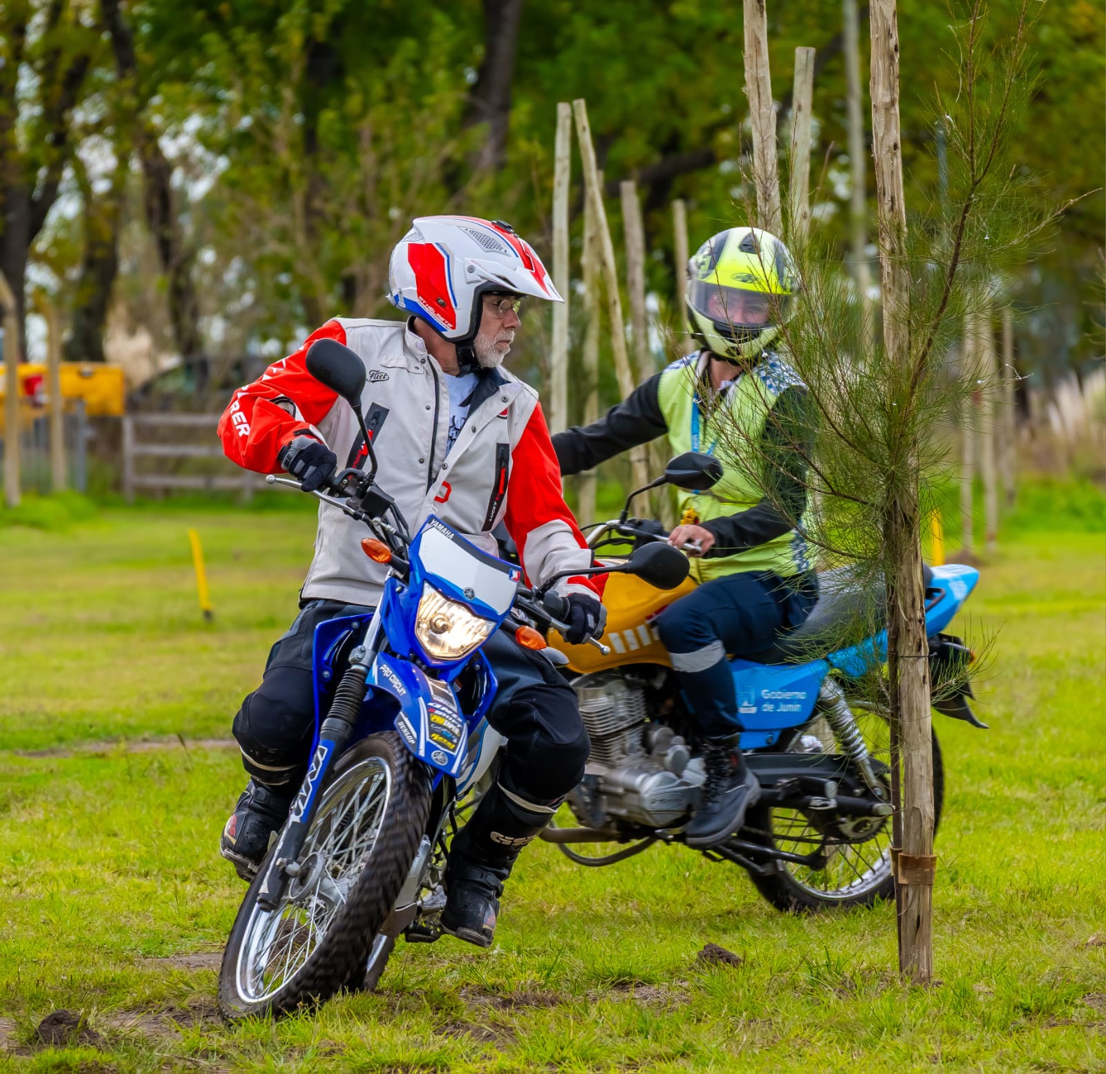 Imagen de la noticia