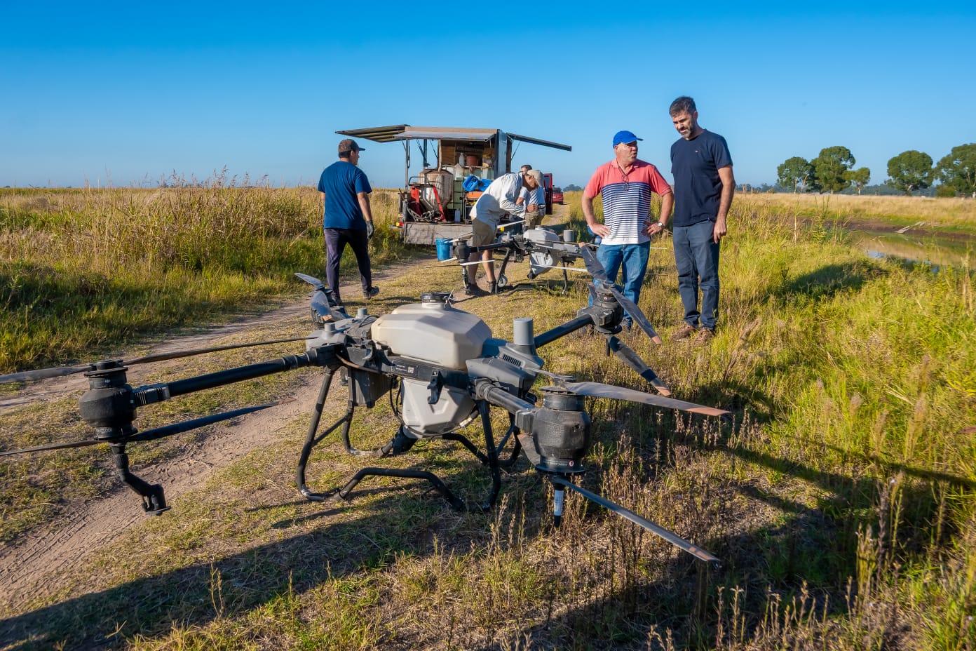 Imagen de la noticia